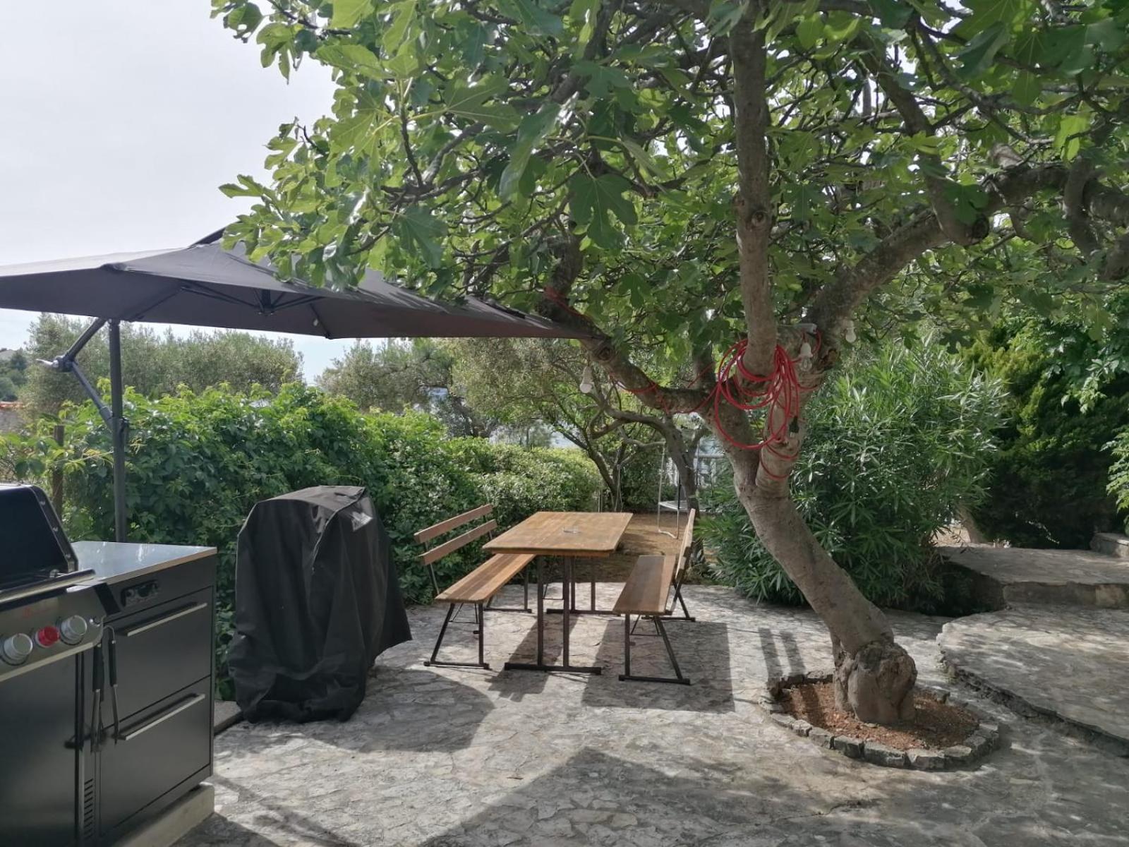 Apartments Villa Julia Τρογκίρ Εξωτερικό φωτογραφία